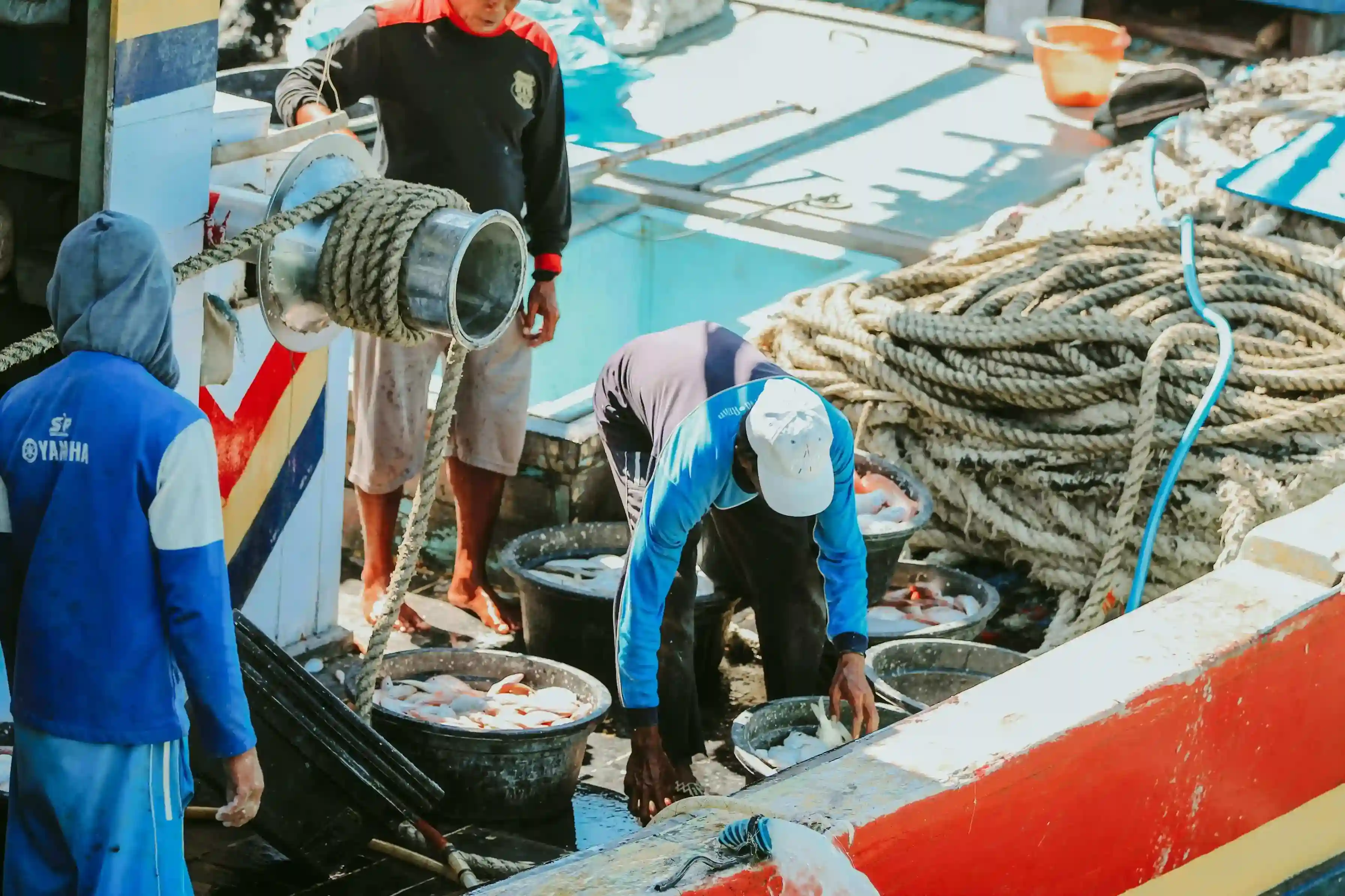 Blog Image